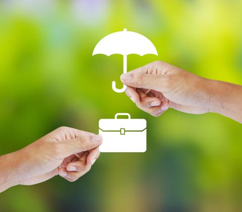 Traductions pour les assurances