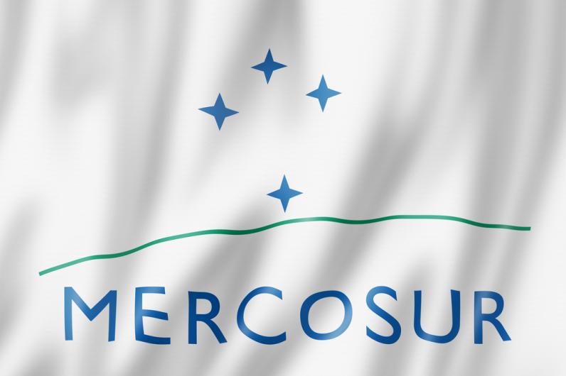 Tout savoir sur le Mercosur et sa traduction multilingue