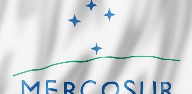 Tout savoir sur le Mercosur et sa traduction multilingue